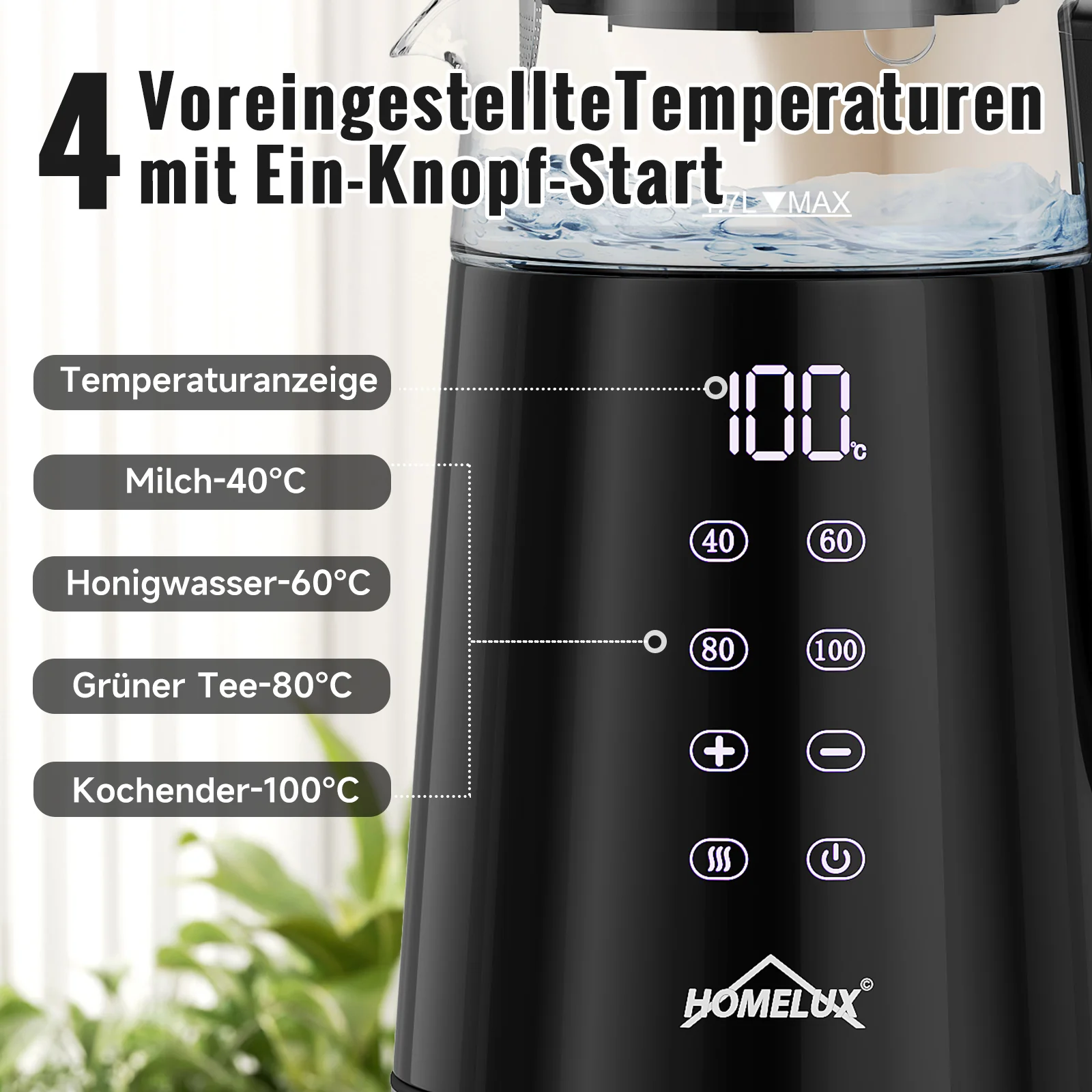 HOMELUX Glas-Wasserkocher mit Teekanne Set, 2200W Teebereiter mit 4 Temperatureinstellungen, Warmhaltefunktion & Edelstahl-Teesieb - Image 4